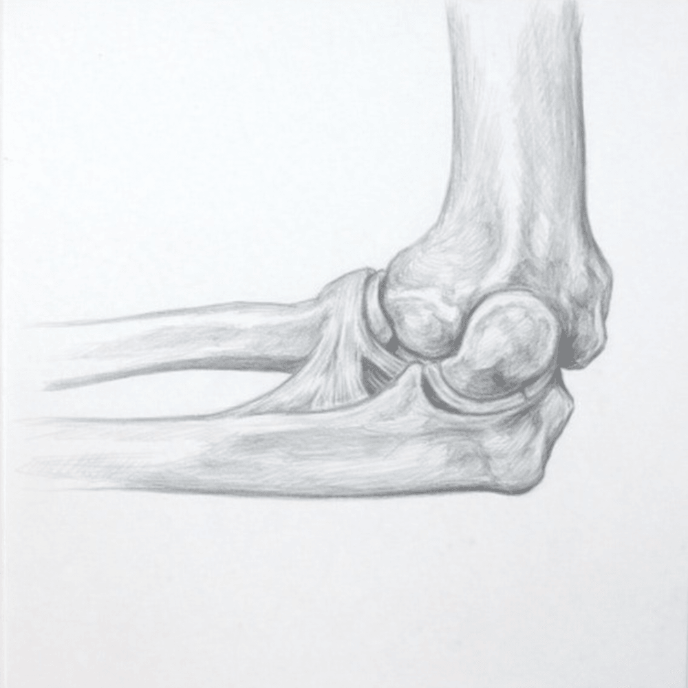 Elbow, Ankle & Other