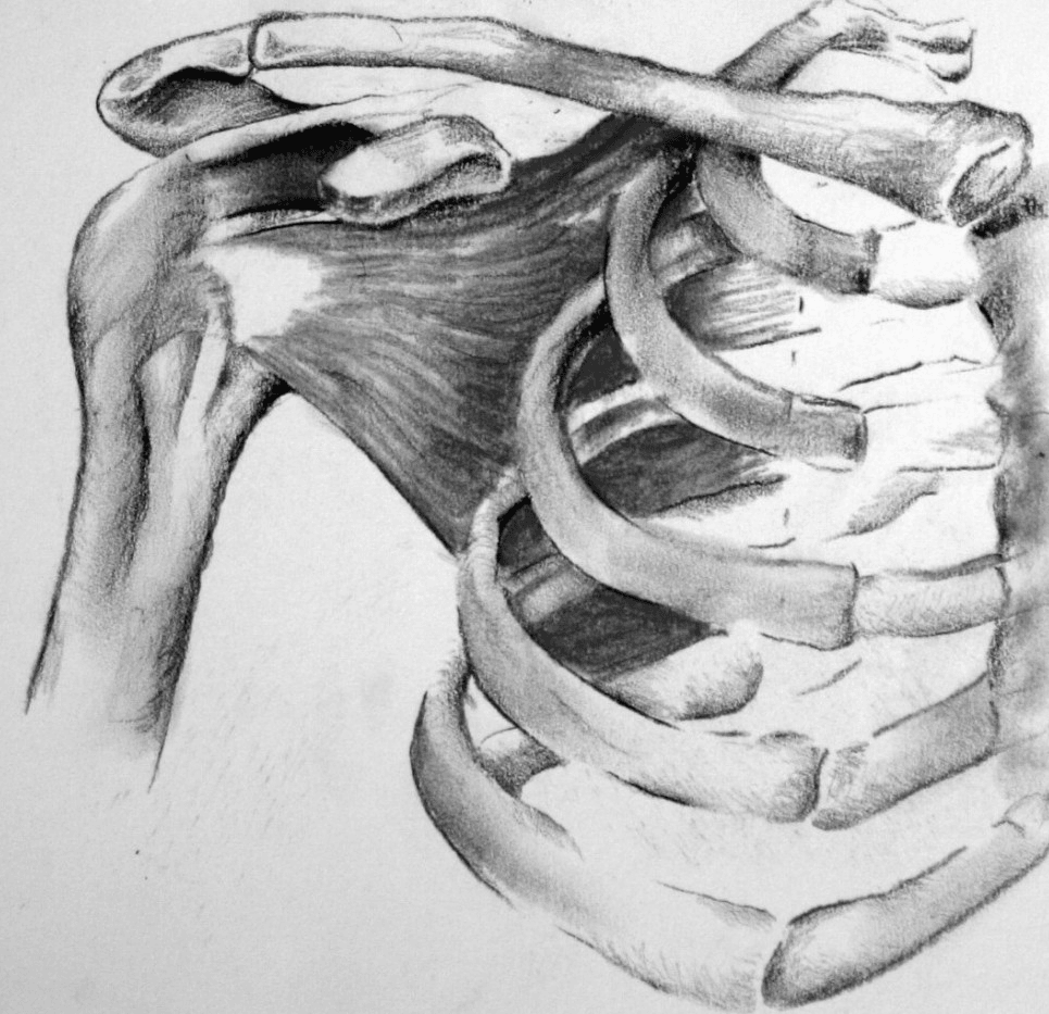 Shoulder Surgery